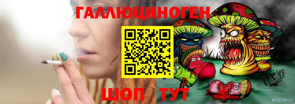 Осинники  магазин продажи наркотиков  Псилоцибиновые грибы ЛСД  Вход с VPN  Псилоцибиновые грибы MAGIC MUSHROOMS 